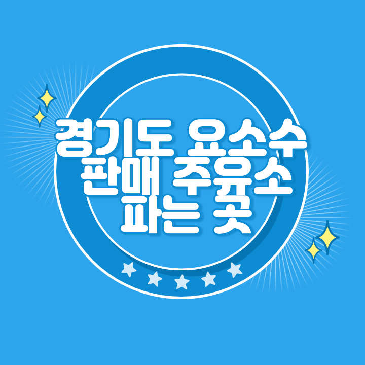 경기도 요소수 주유소 파는곳