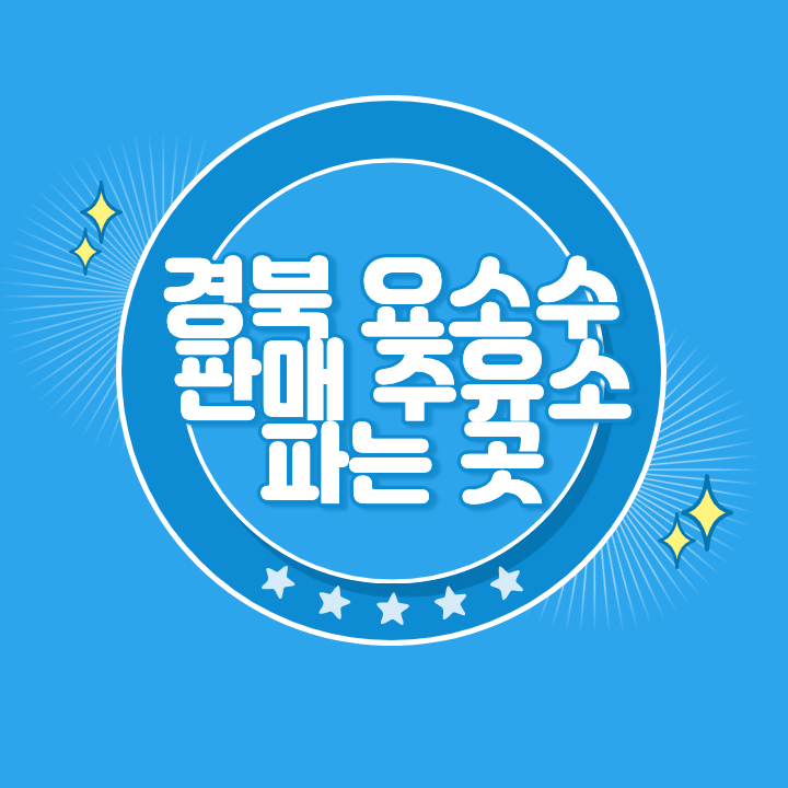 경북 요소수 주유소 파는곳