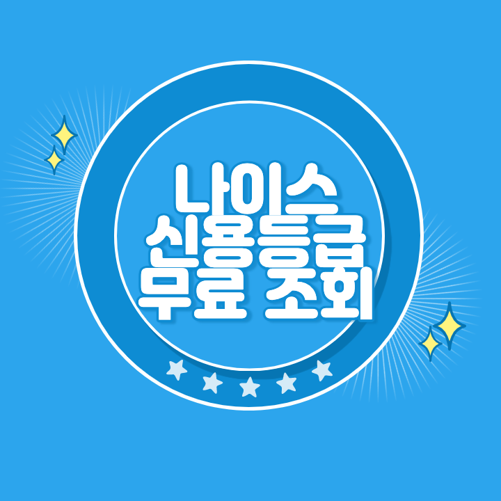 나이스 신용점수 조회