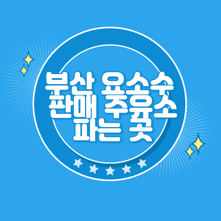 부산 요소수 주유소 파는곳