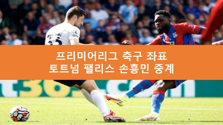 토트넘 팰리스 중계