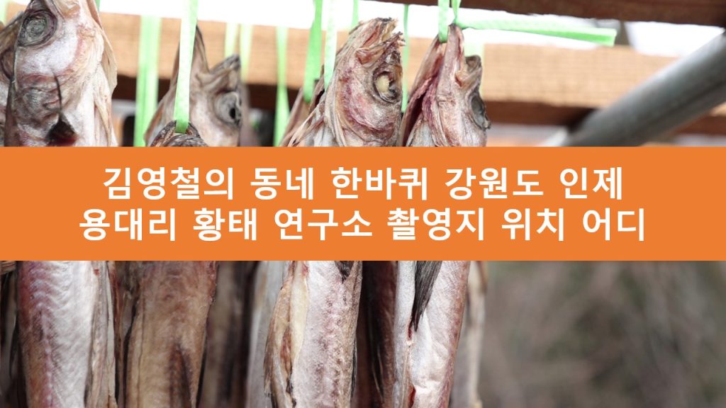 김영철의 동네 한바퀴 용대리 황태 연구소