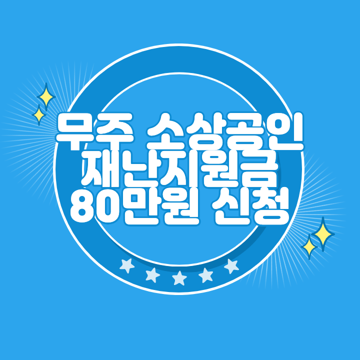 무주 소상공인 재난지원금