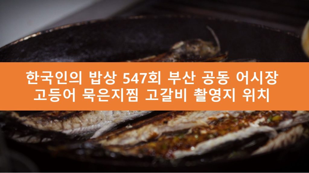 한국인의 밥상 부산 공동 어시장