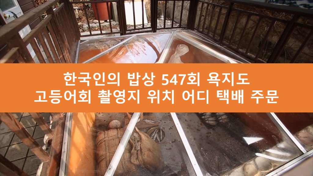 한국인의 밥상 욕지도 고등어회