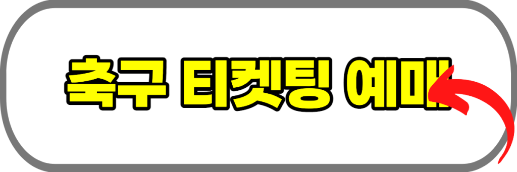 한국-축구-티켓팅