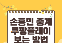 손흥민 쿠팡플레이 중계