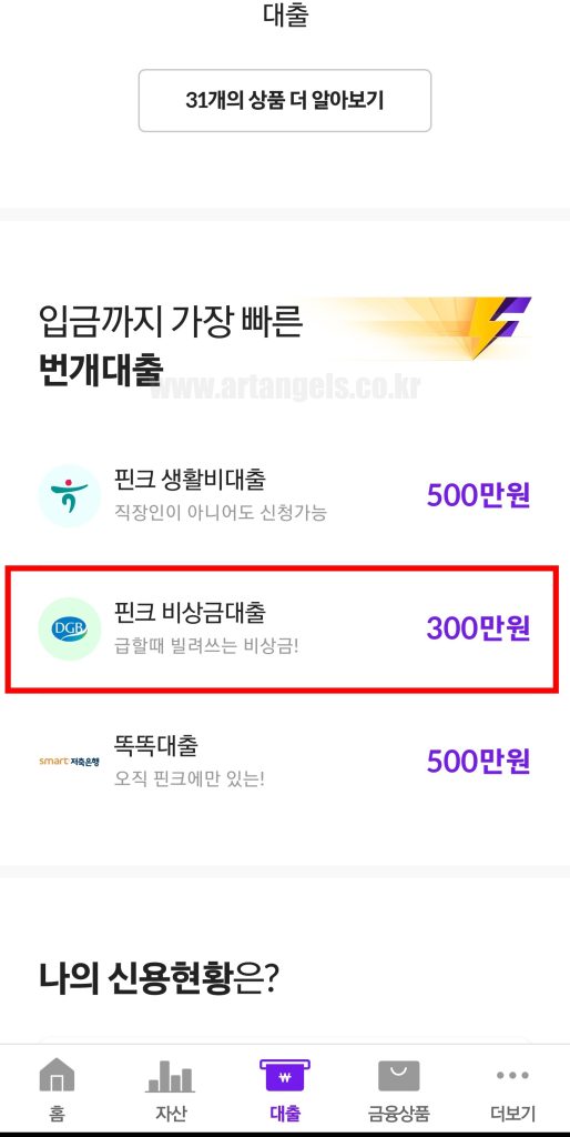 핀크-비상금대출