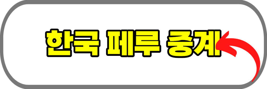 한국-페루-중계